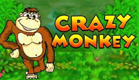 Crazy Monkey